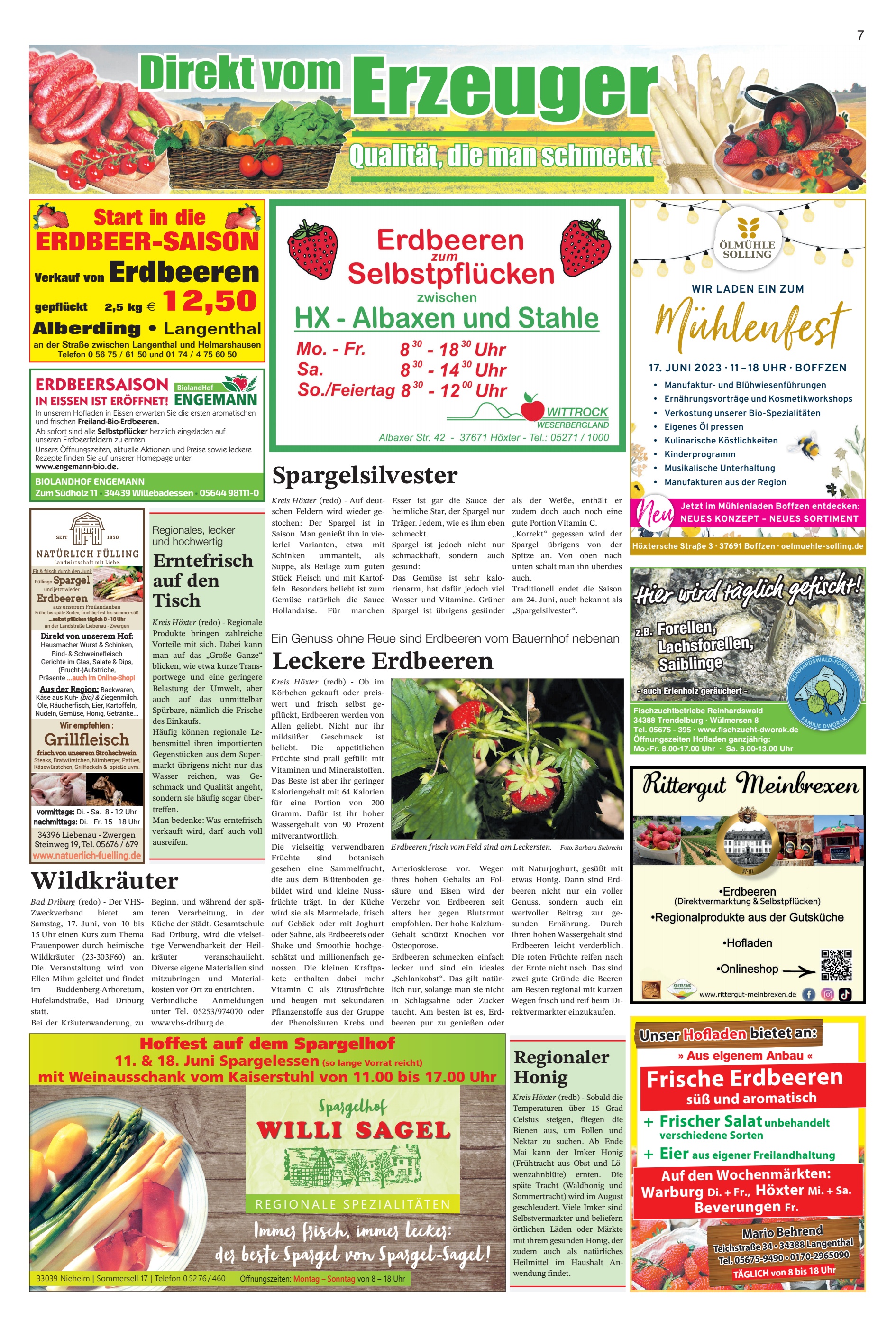 Erzeuger Wildkräuter Leckere